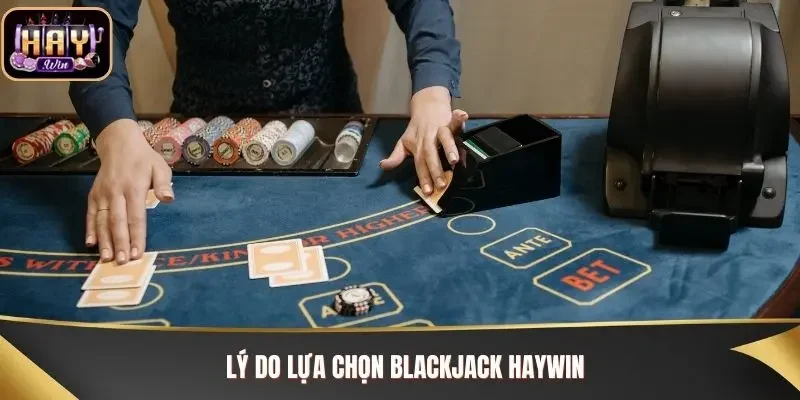Lý do lựa chọn Blackjack Haywin