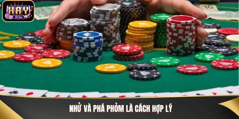 Lên chiến thuật đánh phỏm phù hợp