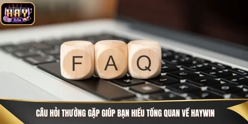 Câu hỏi thường gặp giúp bạn hiểu tổng quan về Haywin
