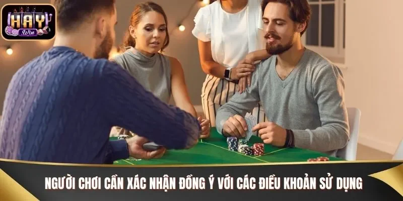 Người chơi cần xác nhận đồng ý với các điều khoản sử dụng