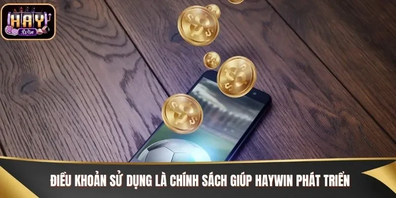 Điều khoản sử dụng là chính sách giúp Haywin phát triển