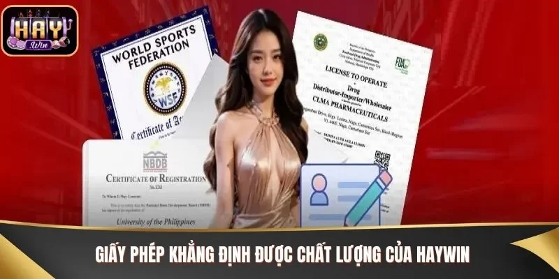 Giấy phép hoạt động xây dựng môi trường Haywin chất lượng